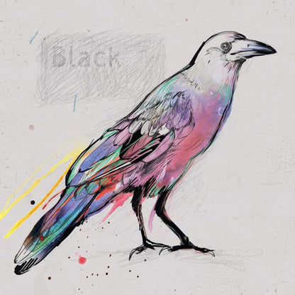 Painted Birds — cushion 5 of 6, the printed design
