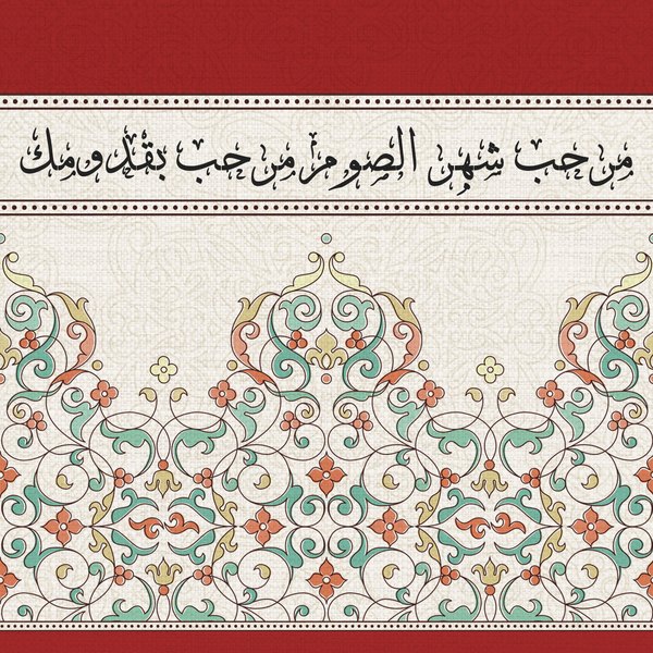 Coral Arabesque — cushion 1 of 3, the printed design