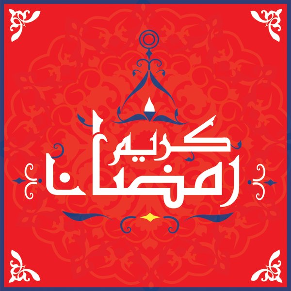 Khayamiya Red — cushion 3 of 3, the printed design