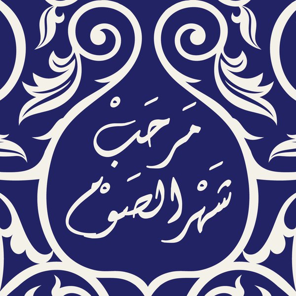 Indigo Khayamiya — cushion 3 of 3, the printed design